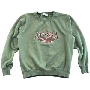 Princess Cruises Alaska Eagle Graphic Embroidered Crewneck Sweatshirt Green - M